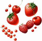 Aliments
