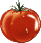 Aliments