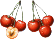 Aliments
