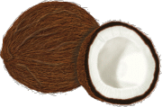 Aliments