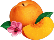 Aliments