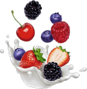 Aliments