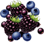 Aliments