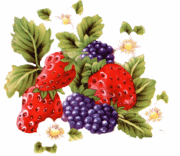 Aliments