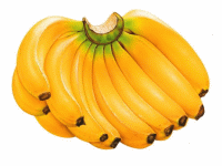 Aliments