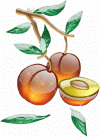 Aliments