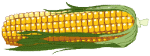 Aliments