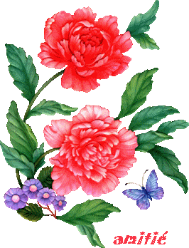 Amitie