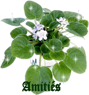 Amitie