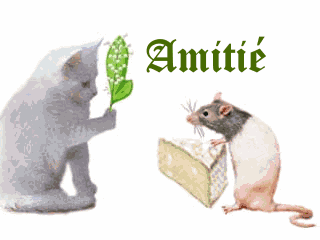 Amitie