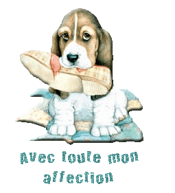 Amitie
