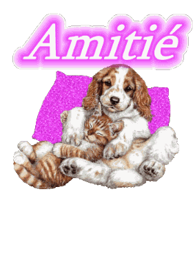 Amitie