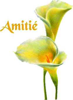 Amitie