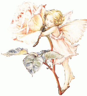 Anges