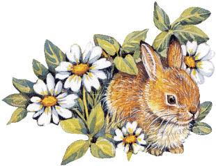 Animaux