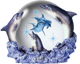 Animaux