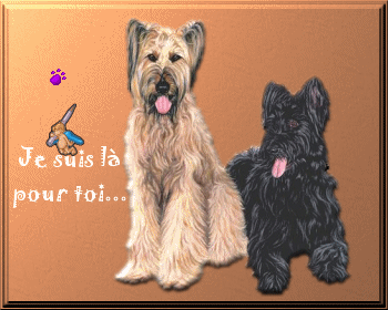 Animaux
