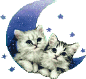 Animaux
