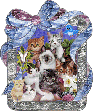 Animaux