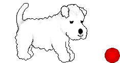 Animaux