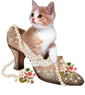 Animaux