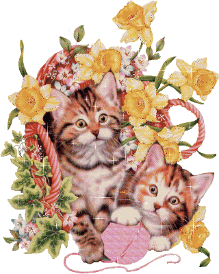 Animaux