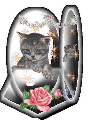 Animaux