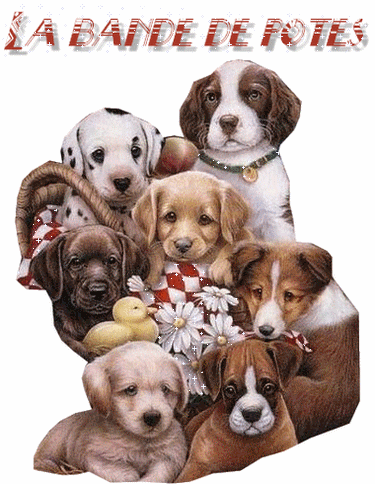 Animaux