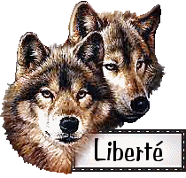 Animaux