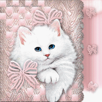 Animaux