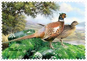 Animaux