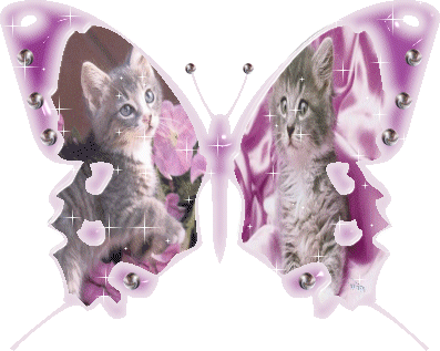 Animaux