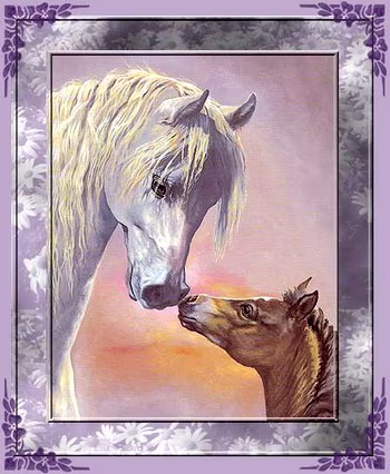Animaux