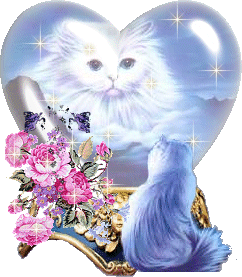 Animaux