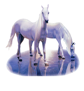 Animaux
