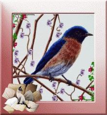 Animaux