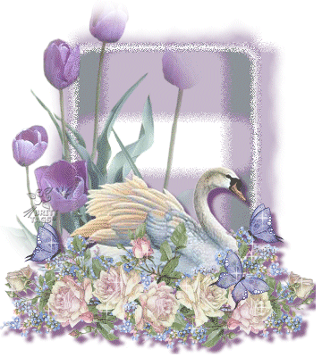 Animaux