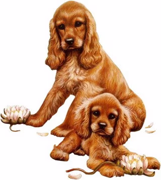 Animaux