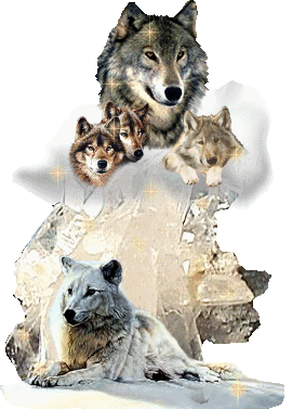 Animaux