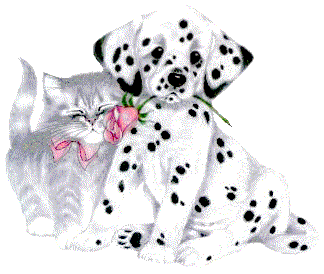 Animaux