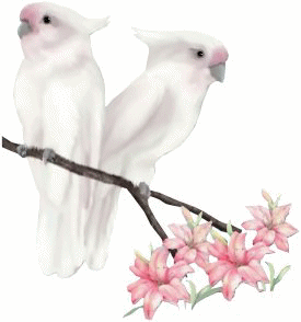 Animaux