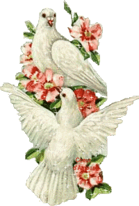 Animaux