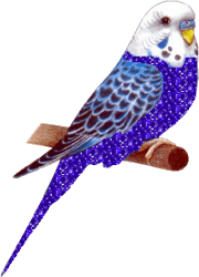 Animaux