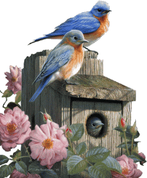 Animaux