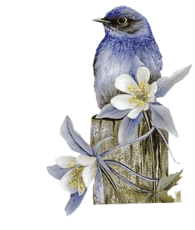 Animaux