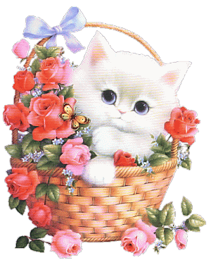 Animaux