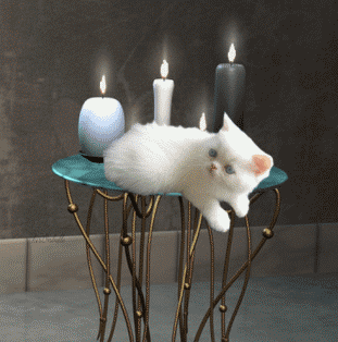 Animaux