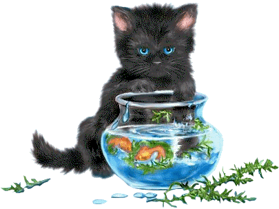 Animaux