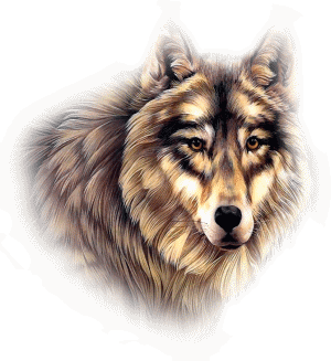 Animaux