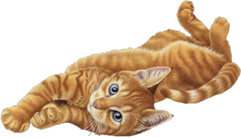 Animaux